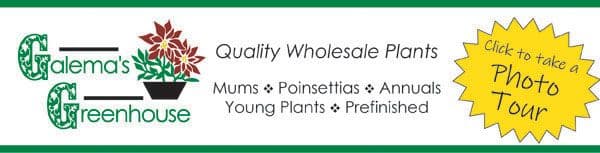 Galema's Greenhouse Inc - Wholesale Only