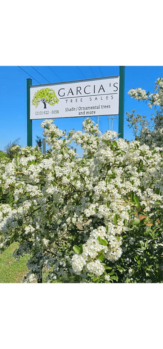 Garcia's Tree Sales