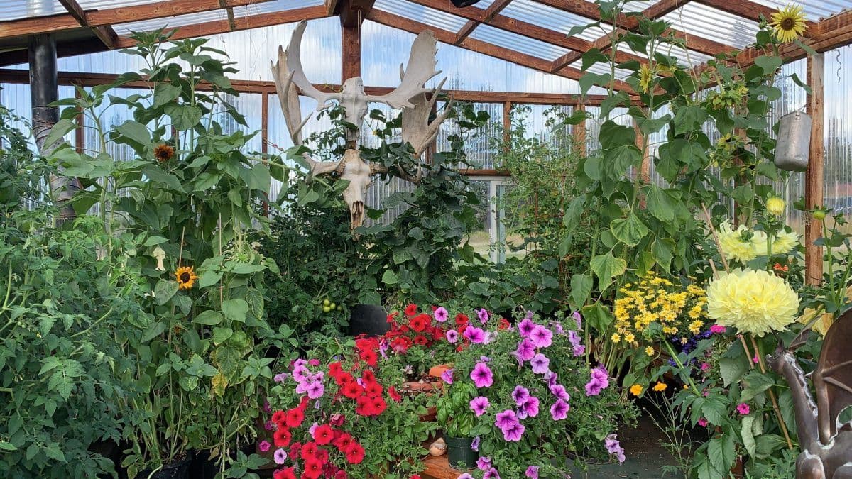 Garden 126