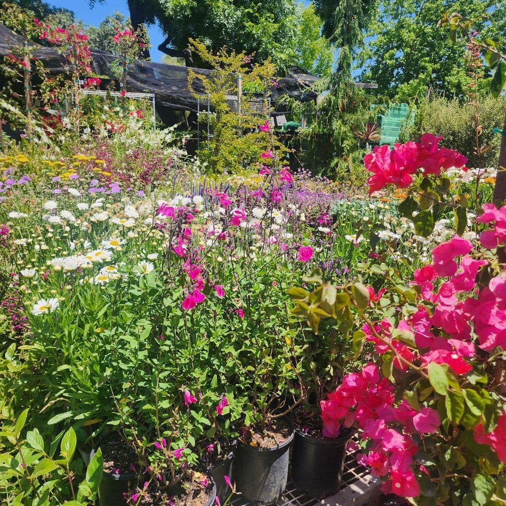 Garden Center Inc