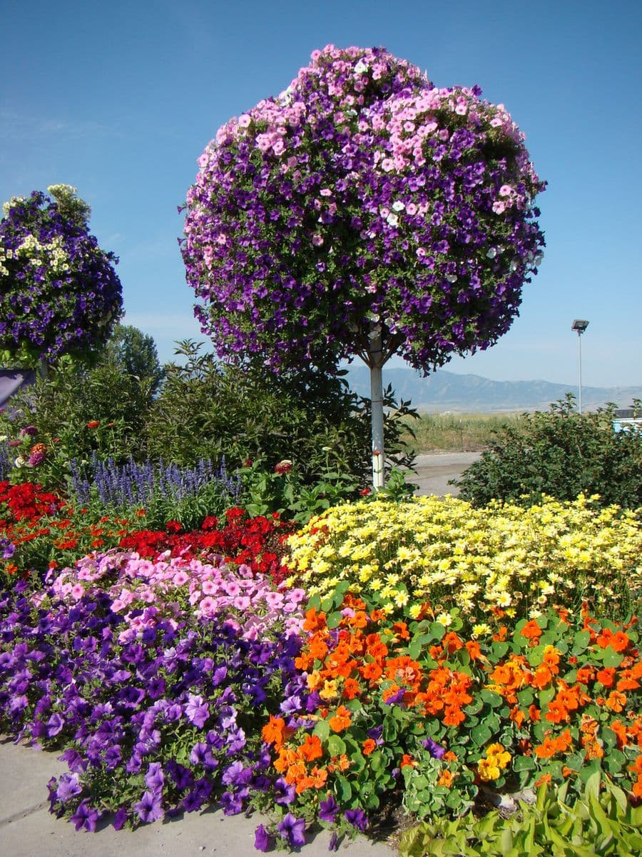 Garden Gateway
