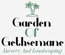 Garden Of Gethsemane