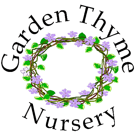 Garden Thyme Nursery