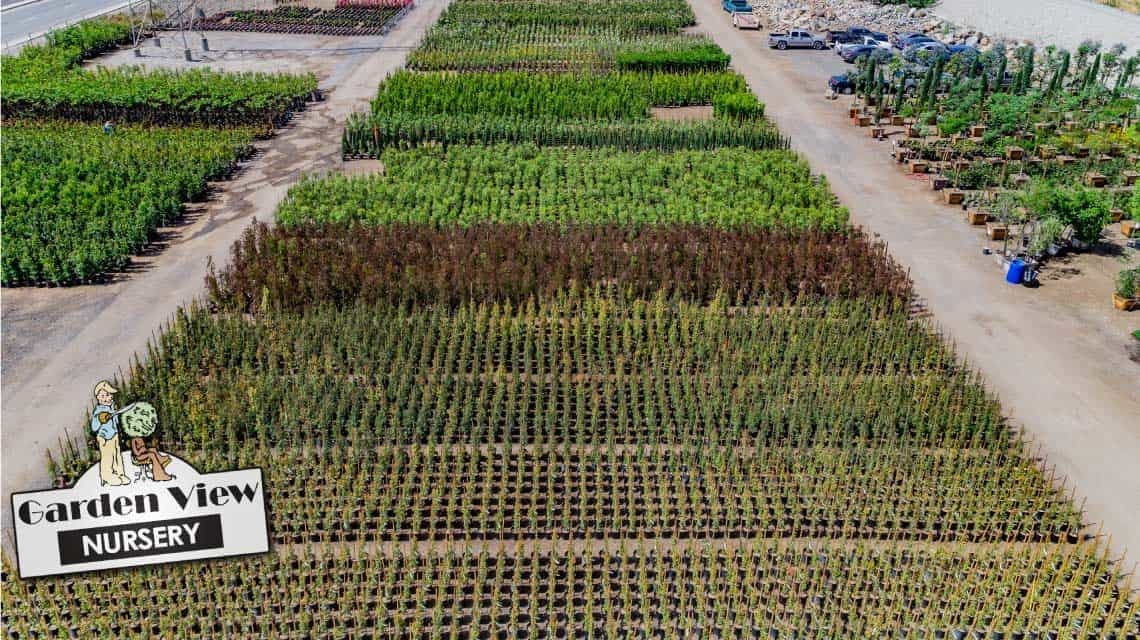 Garden View Nursery