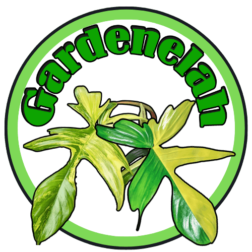 Gardenelah