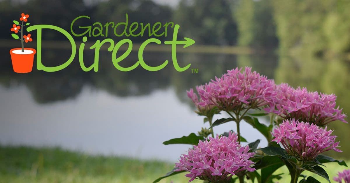 Gardener Direct