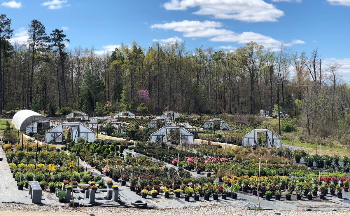 Gardener Nursery