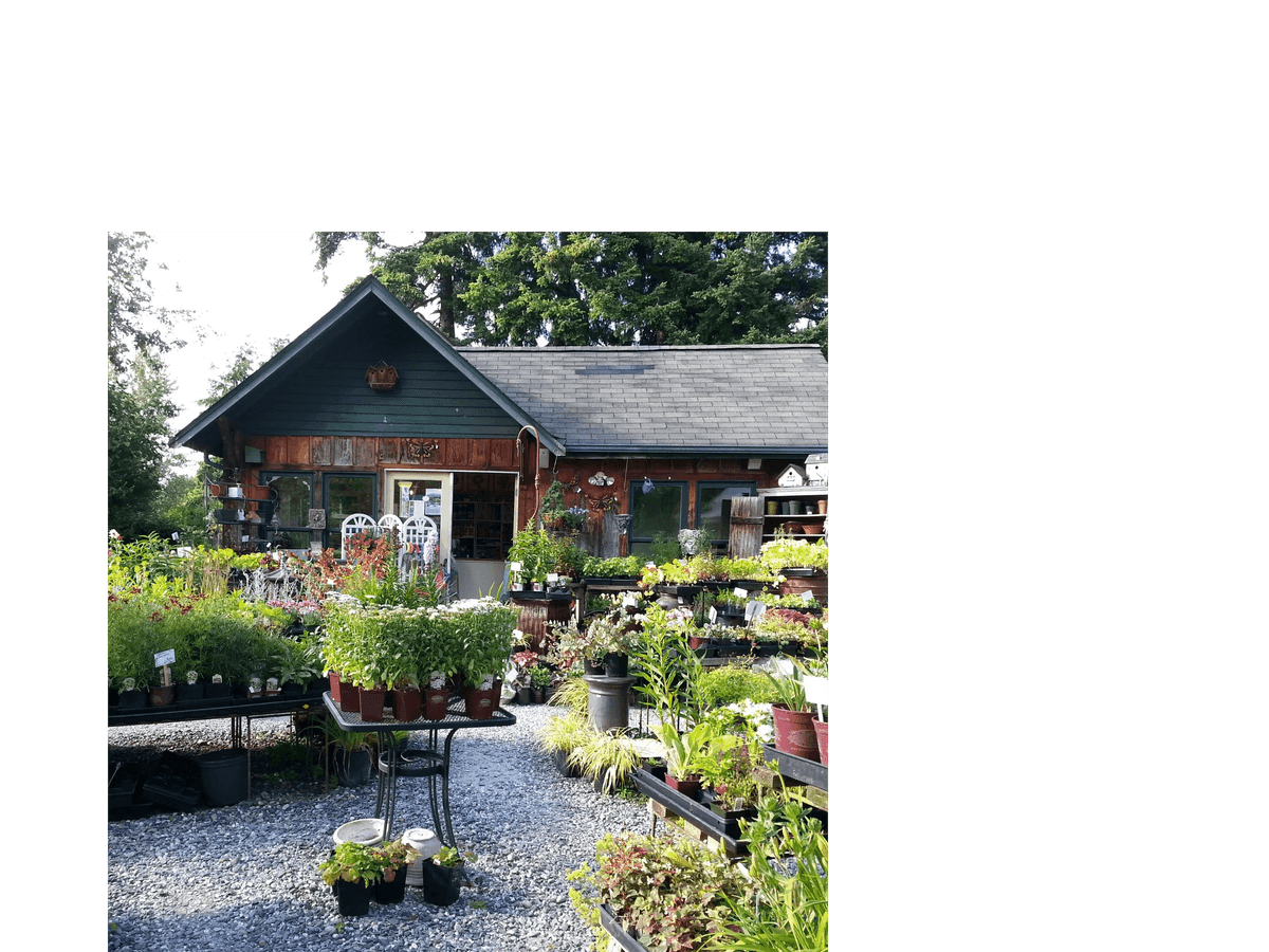 Gardens At Padden Creek