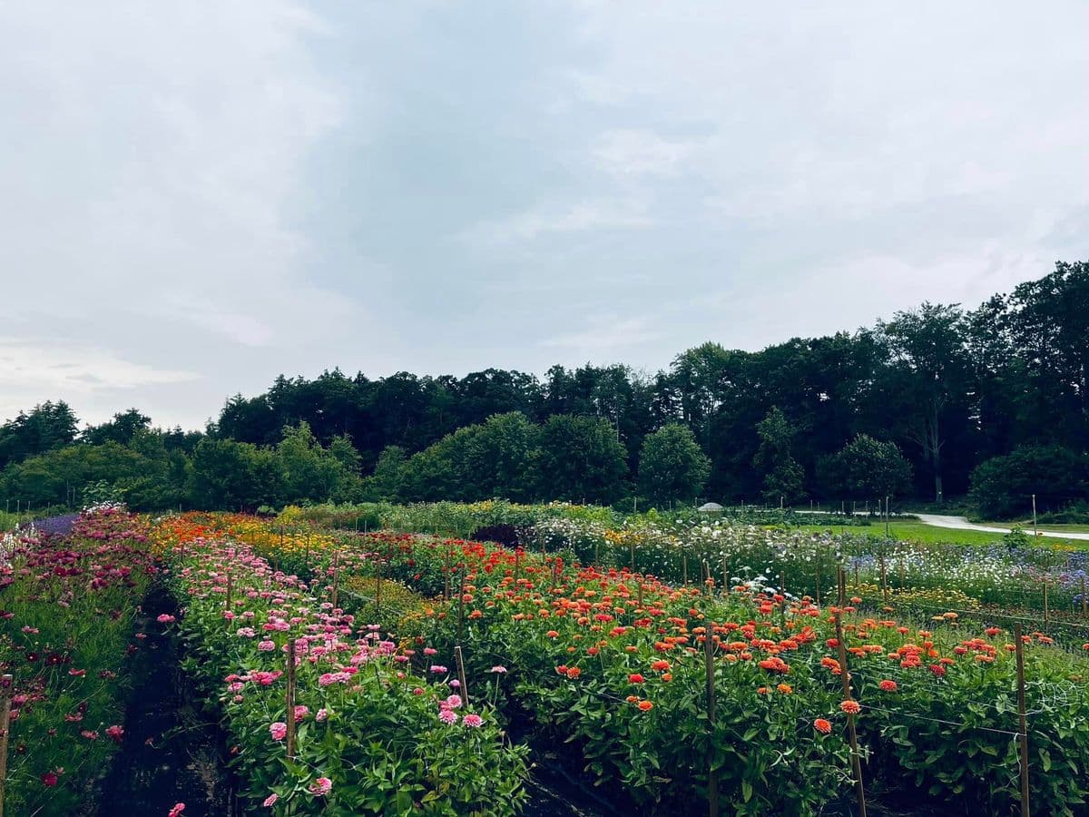 Gardent Farms