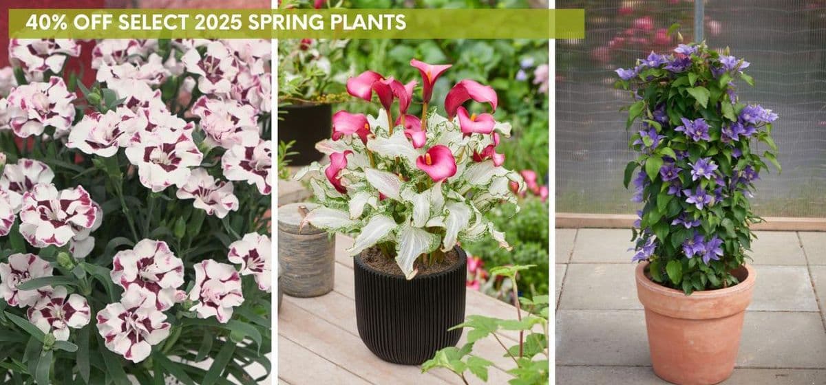 Gardenworld Inc