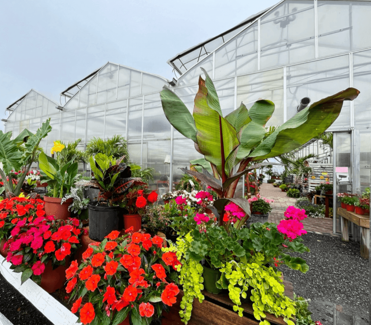 Gardenworx Farm and Garden