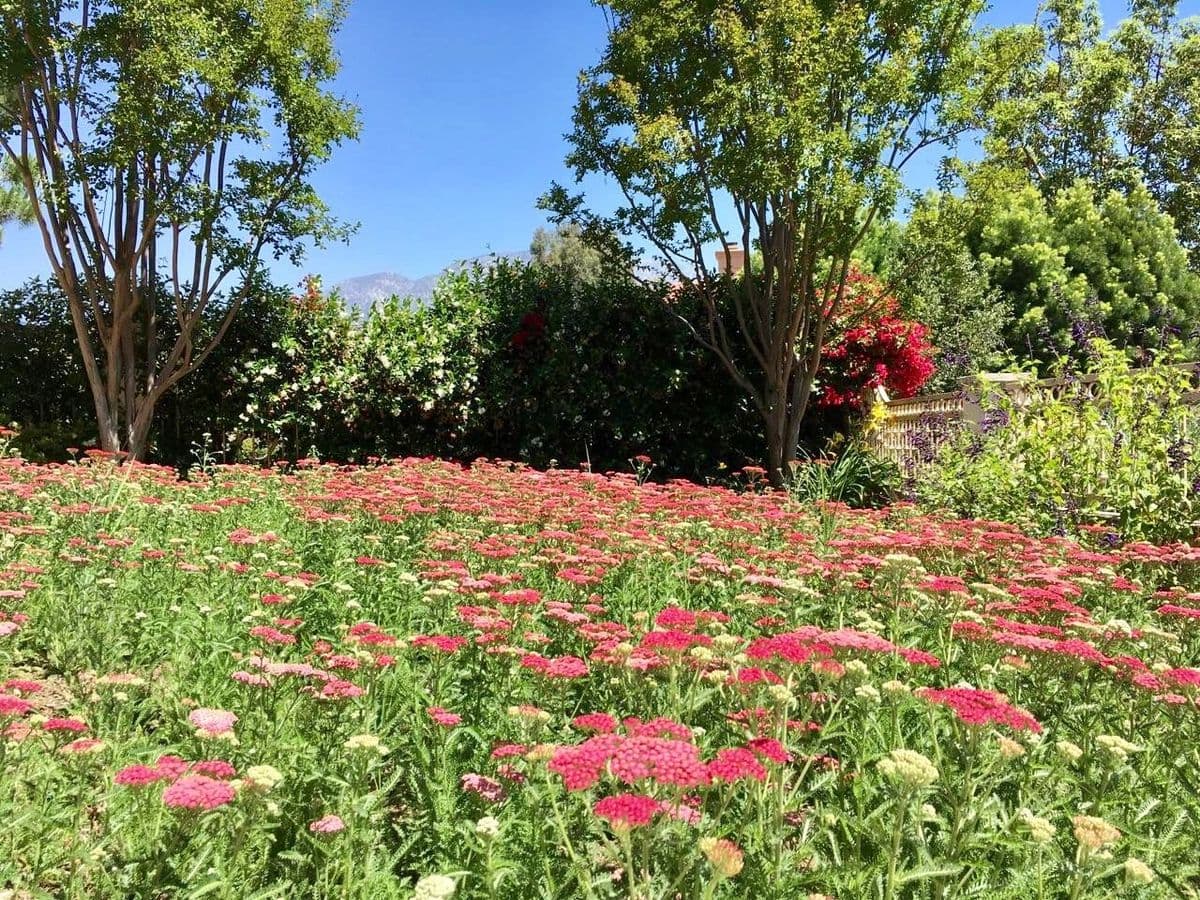 Garrison Foothill Nursery