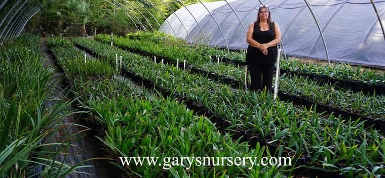 Gary's Nursery