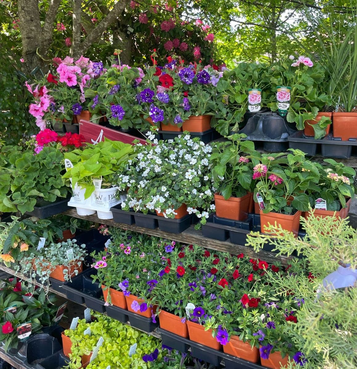 Gator Creek Gardens