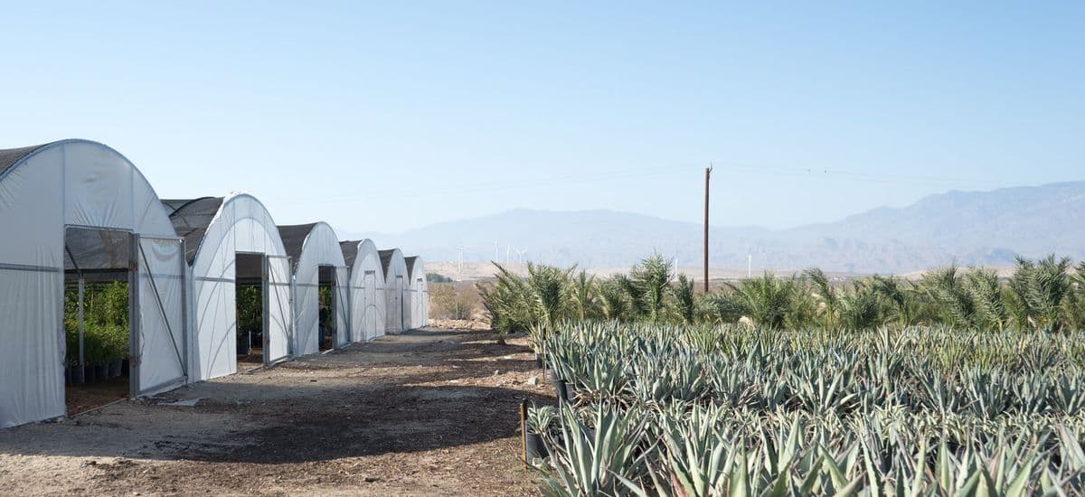 GDNC Cactus & Desert Plant Nursery