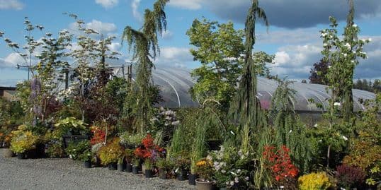 GEB NURSERY
