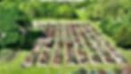 Gemini Peach and Rose Farm