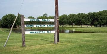 Gem's Zoysia Farm
