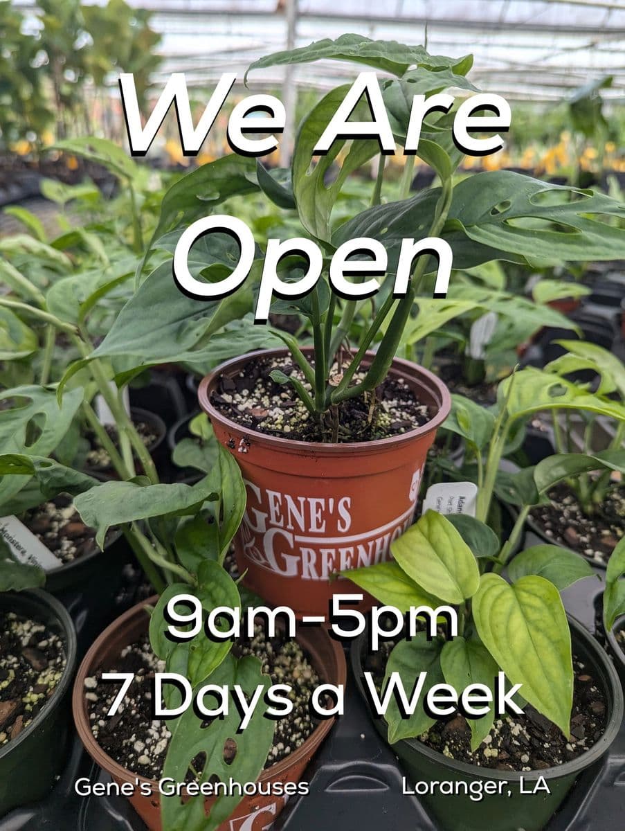 Gene's Greenhouses