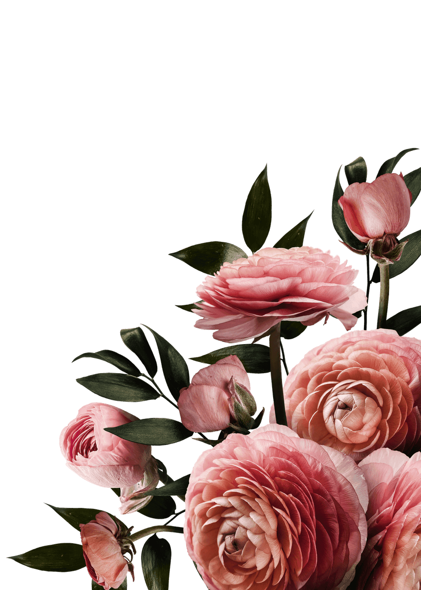 Genesis Floral