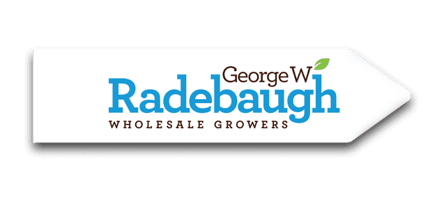 George W Radebaugh & Sons Inc