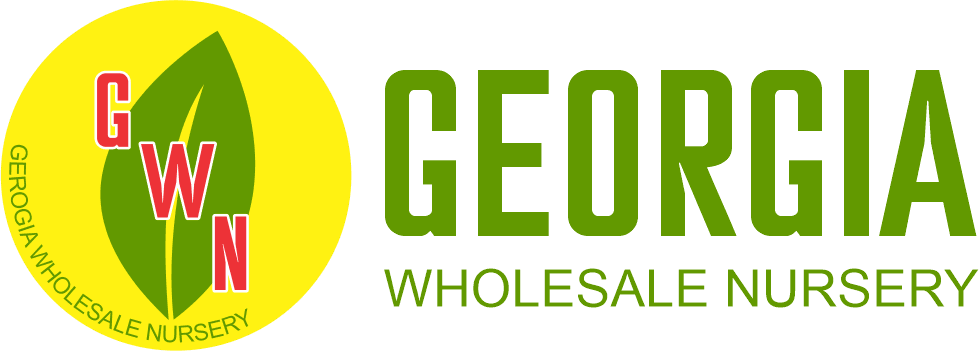 Georgia Wholesale Nursery