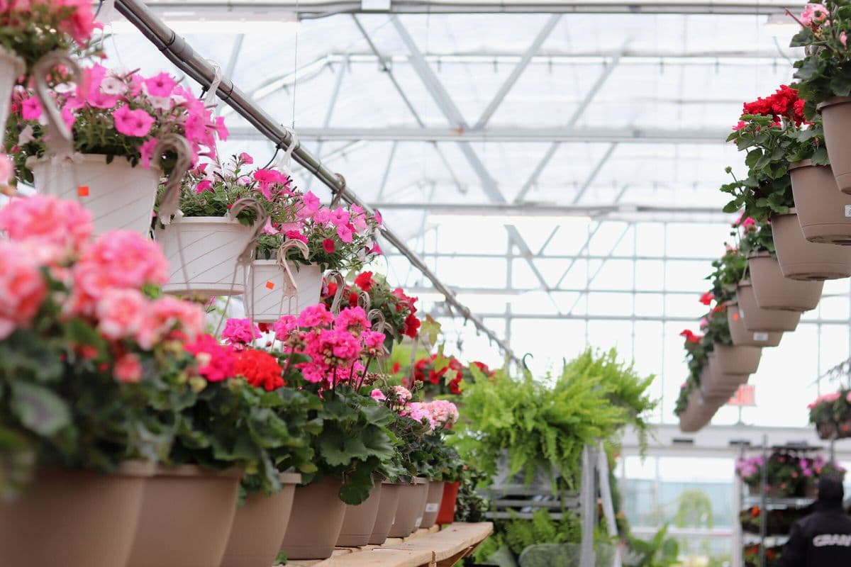 Gerardi's Farmers Market & Nursery