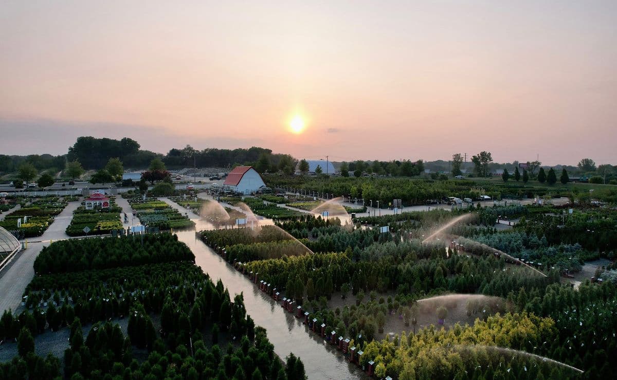 Gertens
