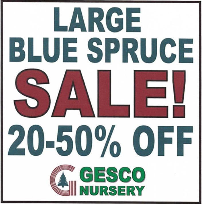 Gesco Nursery
