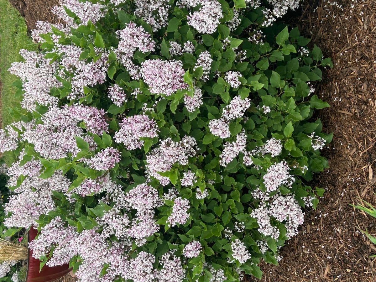Get To Growin’ Backyard Nursery