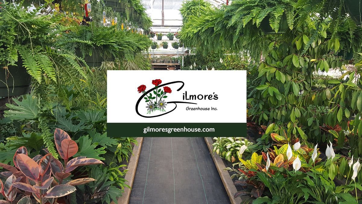 Gilmore's Greenhouse