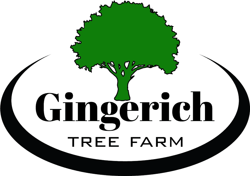 Gingerich Tree Farm
