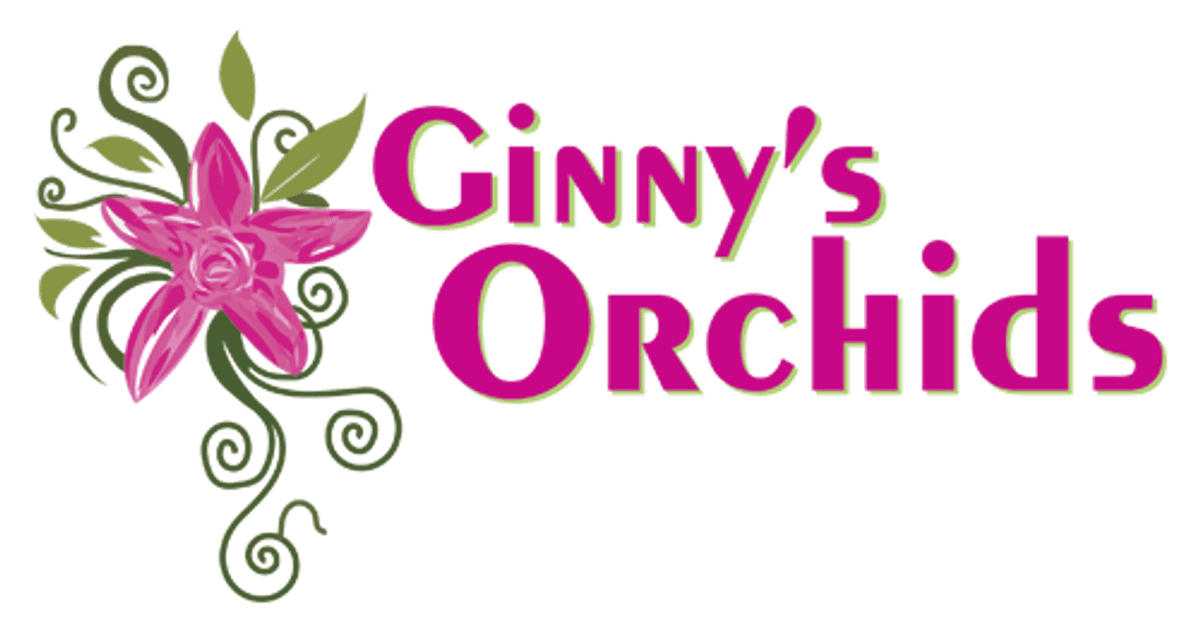 Ginny's Orchids