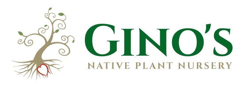 Gino's Nursery