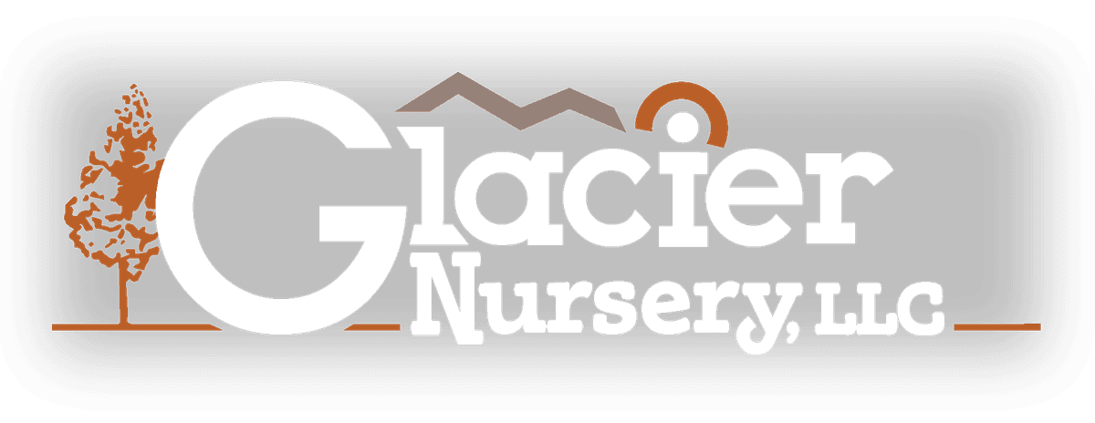 Glacier Nursery