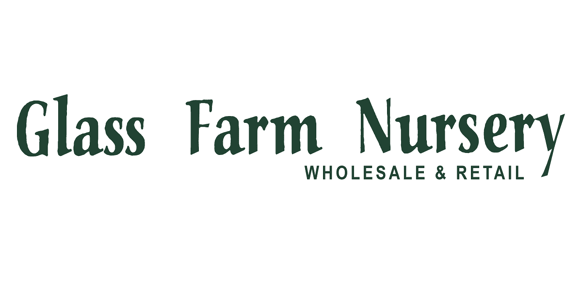 Glass Farm Nursery