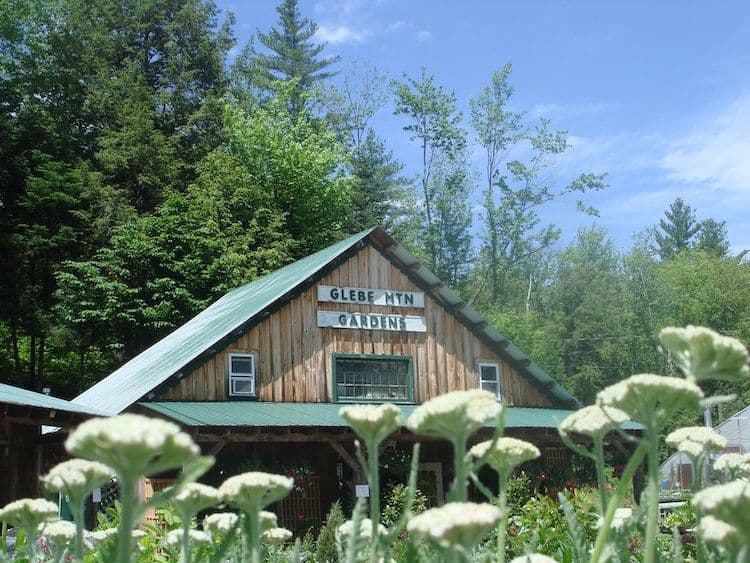 Glebe Mountain Garden & Landscaping