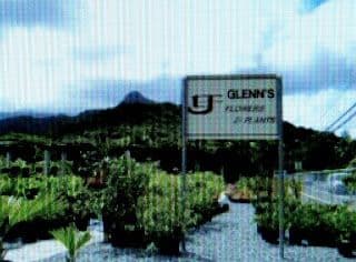 Glenn's Flowers & Plants