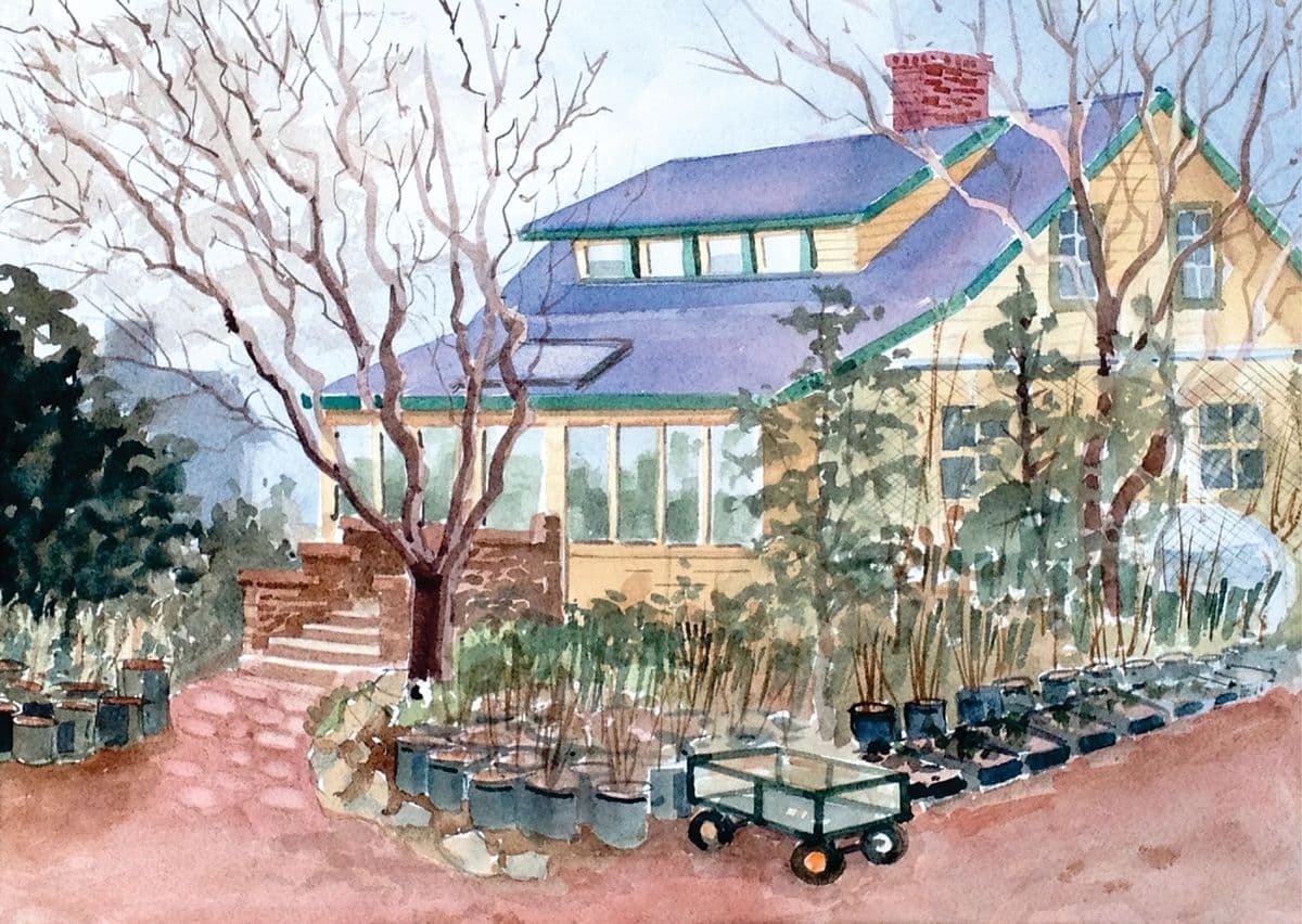Go Natives! Nursery