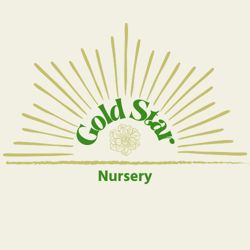 Gold Star Nursery LLC