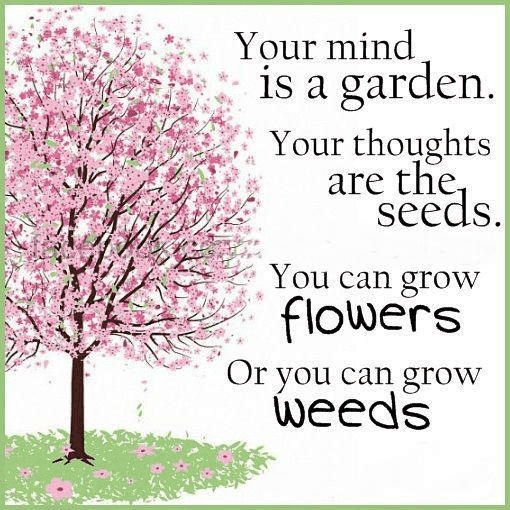 Golden Gate Nursery Inc