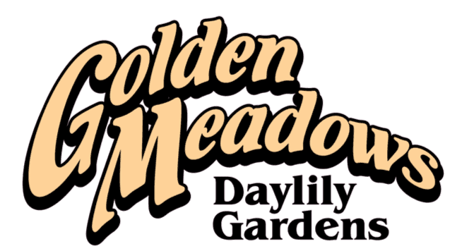 Golden Meadows Garden Design & Daylilies