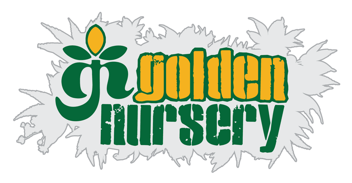Golden Nursery