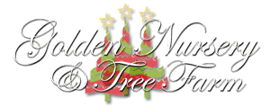 Golden Nursery & Tree Farm