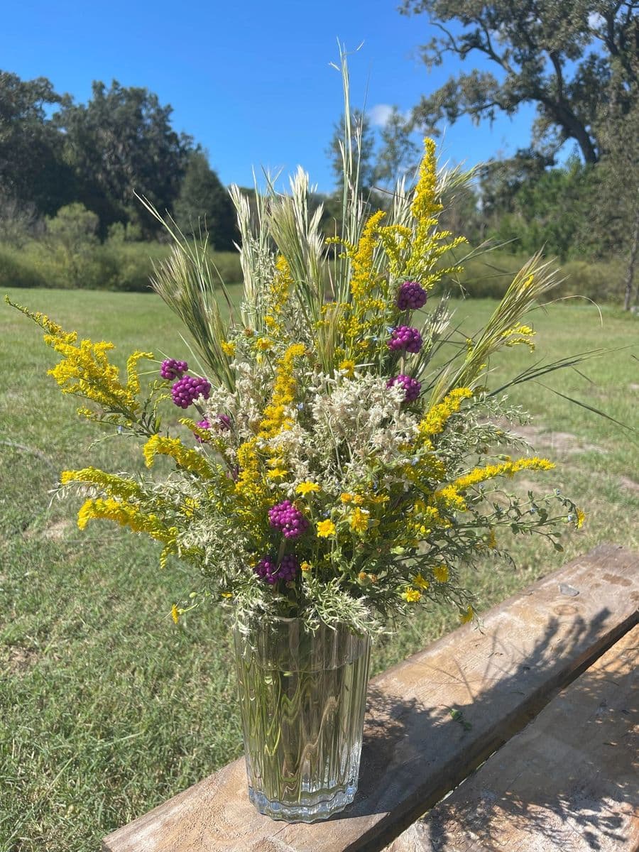 Goldenrod Meadows
