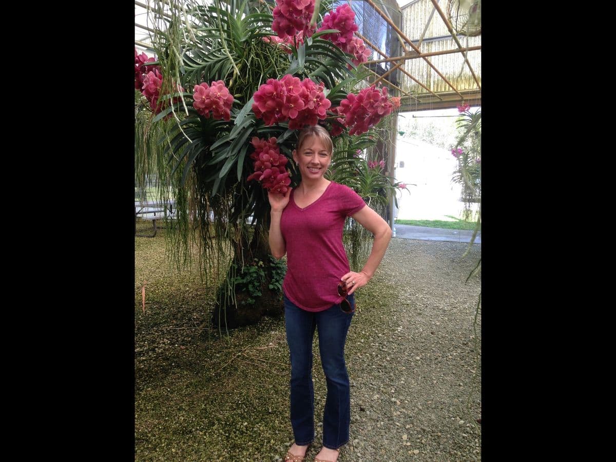 Goodwin Orchids