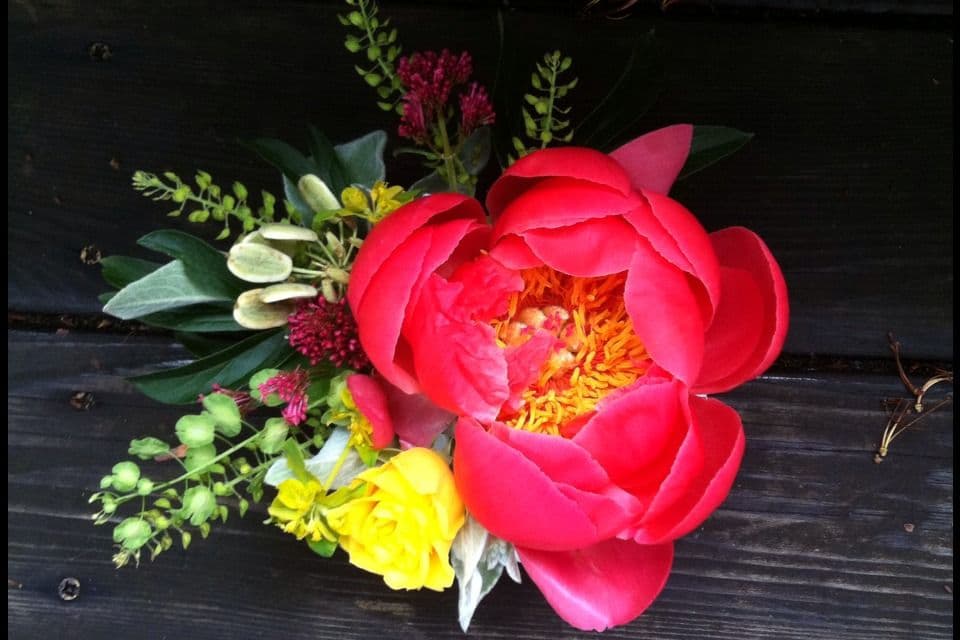 Goose Hollow Flowers