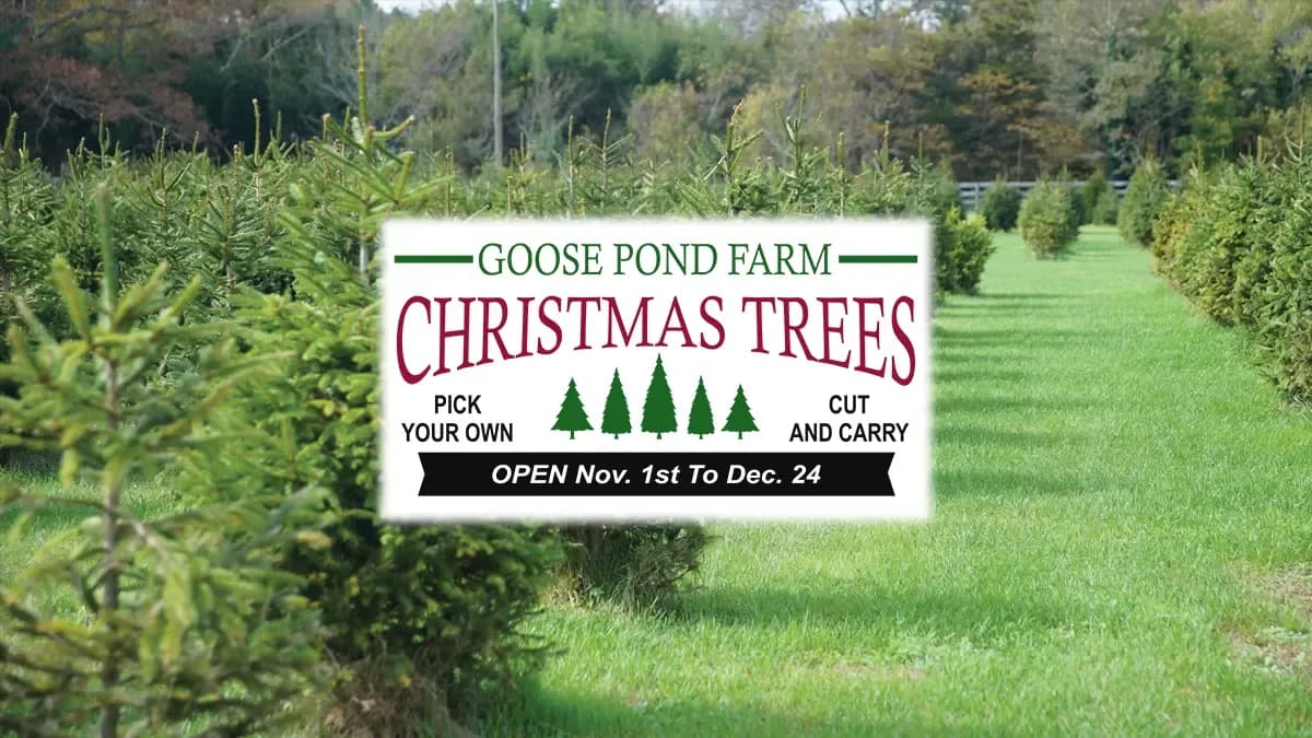 Goose Pond Farm, Waretown NJ
