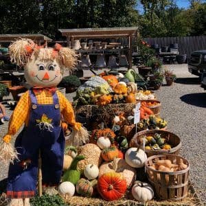 Gossett Brothers Nursery