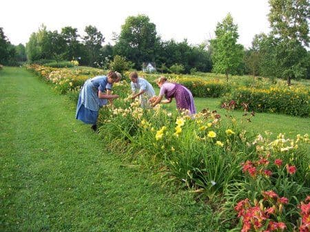 Grace Gardens